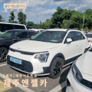 엔젤펫 | 제주엔젤카 반려동물 동반 렌트 후기