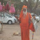 인형의 거리(개) 이미지