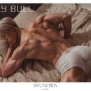 Fly Bull 이미지