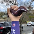 내돈내산 팔공산맛집 장어의 힘 주말방문 후기