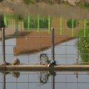 해룡천 배수펌프장 이미지