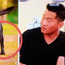 플레이 바우 이미지