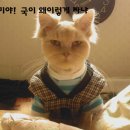 말랑