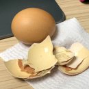 다은이네 민박 | 360도 달라진 나!