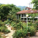 베짱이정원 이미지