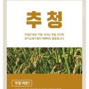 호랭이김밥 | 안성마춤농협 경기미 안성골 호랭이쌀 추청 내돈내산 후기