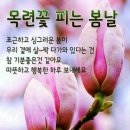 행복한하루 이미지