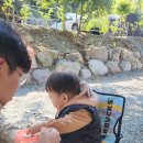 진도 카멜리아 힐즈 오토캠핑장 이미지