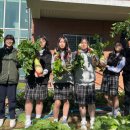 속리산중학교 이미지