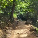 산책길에 이미지