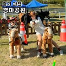 천마축산 | 과천 경마공원 승마체험 데이트 경기도 아이와 가볼만한곳