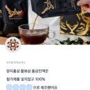 양지스크린