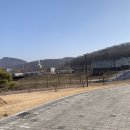 일직수변공원 이미지