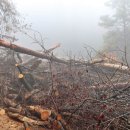 마을회관 앞 이미지