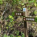 산삼자연휴양림 이미지
