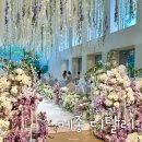 디지탈라이브노래방 | 수서 성남 메종 디탈리 외국 결혼식, 식사 주차 하객 후기