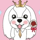 은미슈퍼 이미지