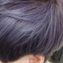 살롱필리아 네이버블로그