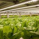 (주)티피팜 이미지