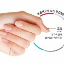 비바네일 이미지