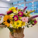 금성초등학교(병설) 이미지