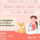마음든 동물병원 이미지