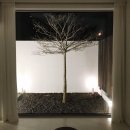 시재시재 이미지