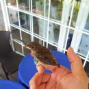 아기새어린이집 이미지