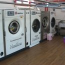 단골세탁소 이미지