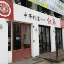 백오로 | 백오 중국음식점 솔직 후기 리뷰: 갑오징어 짬뽕 &amp; 짜장면 &amp; 튀김만두