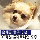 원당동물병원 이미지