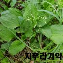 장속농장 이미지