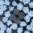 범우농장 이미지