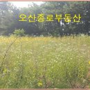 안성땅공인중개사사무소 이미지