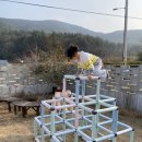 평사리 85-7 이미지