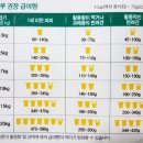 하모니퍼피 네이버블로그