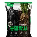 죽림여천농협 이미지