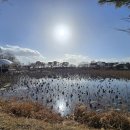 지리산쌍계한의원 - 포천시 화동로 1064 | 지리산쌍계한의원