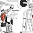 대전 스트렝스 이미지