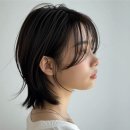 포천송우리