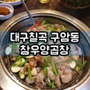 쉬갈 | 대구 구암동 맛집 장손태 참우양곱창 & 쉬갈 후기