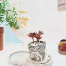 패션업사이클링 공방창업 | 양천구 업사이클링 수업 - 발포세라믹 도우아트 지도사 과정 후기 &amp; 소개 친환경 출강수업 추천