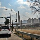 달서천변 이미지