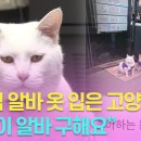 스타편의점 - 곡성군 충의로 180-19 | 스타편의점