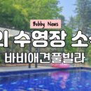바비애견풀빌라 이미지
