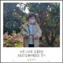 제주 서귀포 감귤체험 최남단체험감귤농장 입장료 솔직후기