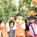 나무와열매어린이집 이미지