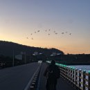 바오재 | 제주도 환상 자전거길2