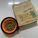 시우스쿨링 대화 이미지