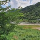 하동 섬진강변길 이미지